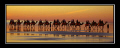 Sunset...cable beach.....This place gets some of the most spectacular sunsets that I have ever seen.
Life's a beach and then you....dive :) 